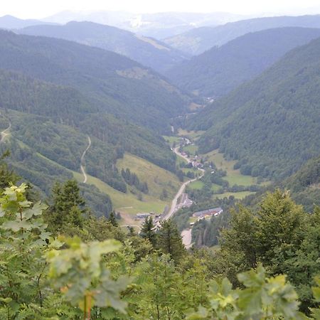 Ferienwohnung Baeuerle Schoenwald im Schwarzwald Exterior photo