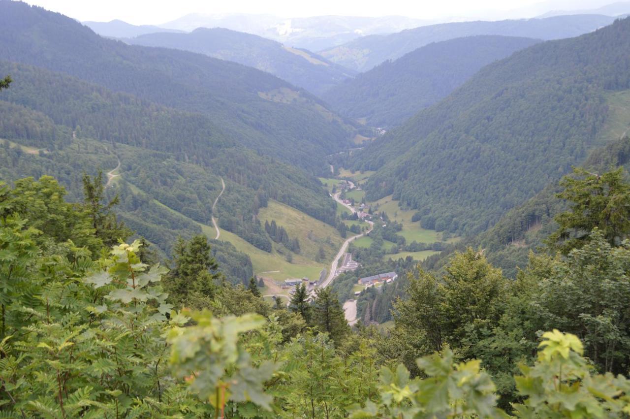 Ferienwohnung Baeuerle Schoenwald im Schwarzwald Exterior photo